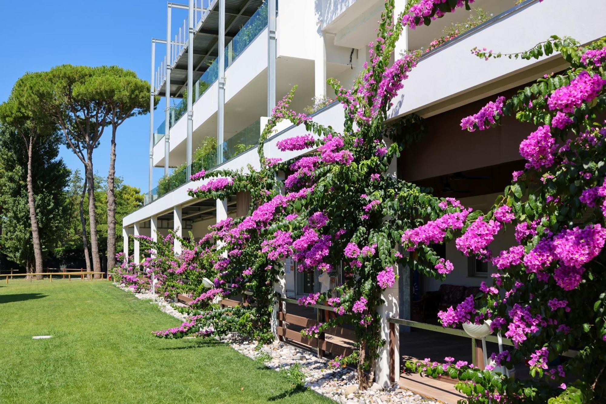 Il Tridente Hotel ביביונה מראה חיצוני תמונה
