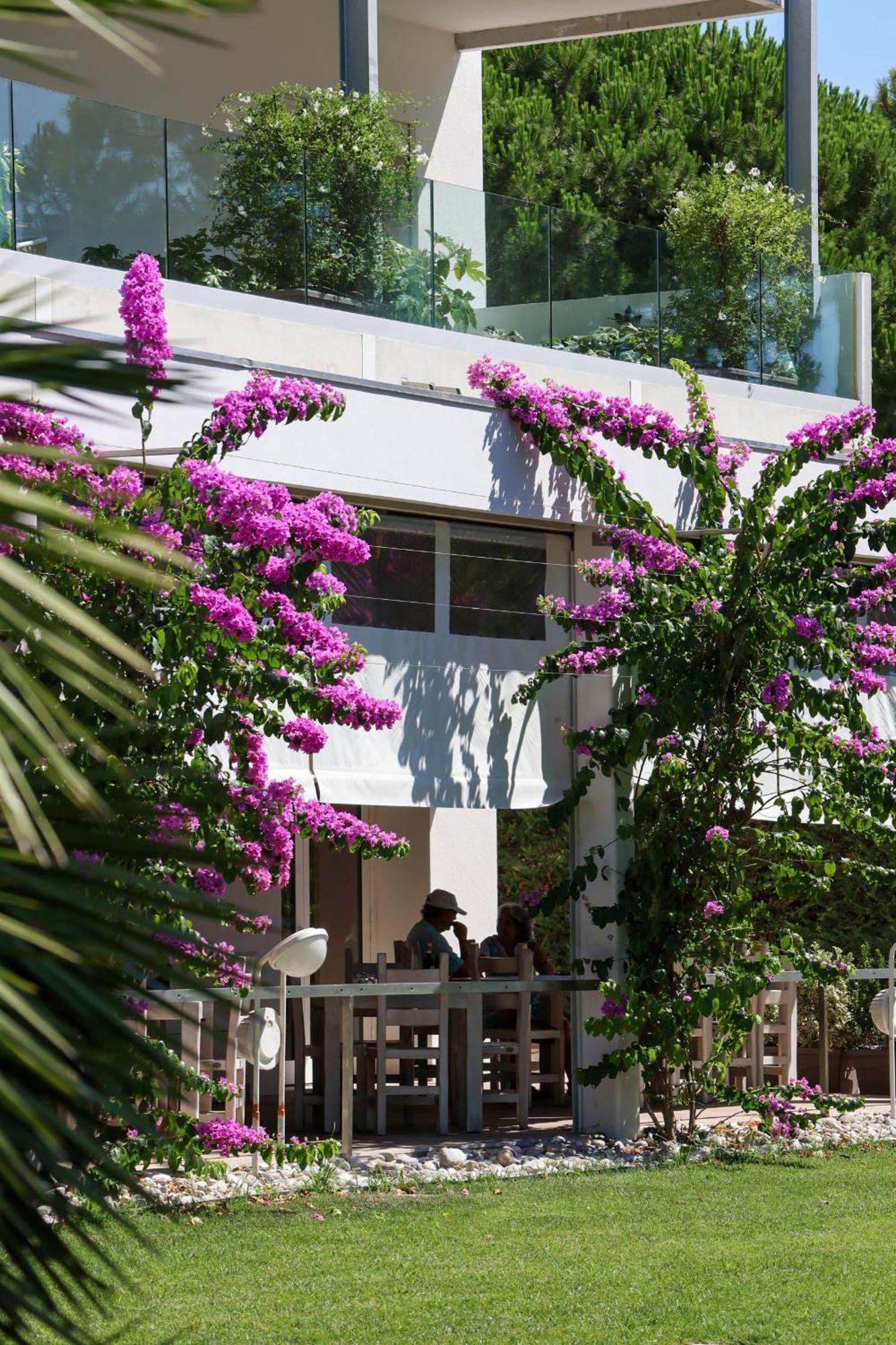 Il Tridente Hotel ביביונה מראה חיצוני תמונה